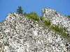 Pieniny0908_051.jpg