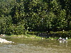 Pieniny0908_056.jpg
