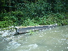 Pieniny0908_065.jpg