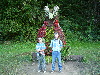 Pieniny0908_074.jpg