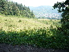 Pieniny0908_083.jpg