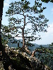 Pieniny0908_095.jpg