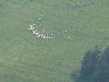 Pieniny0908_116.jpg