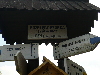 Pieniny0908_128.jpg
