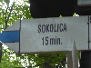 Pieniny0908_135.jpg