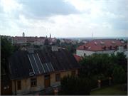 franek_003
