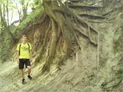 franek_062