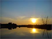 franek_138
